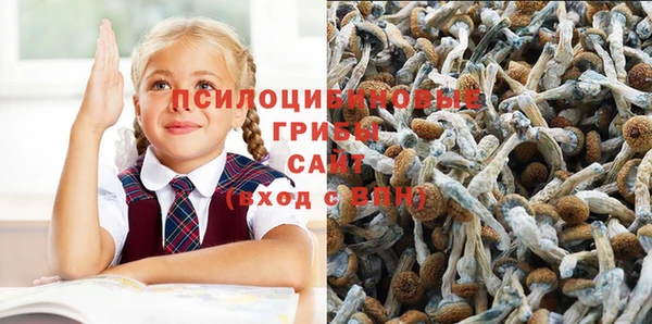 спайс Армянск