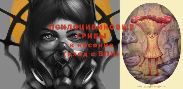 дмт Аркадак