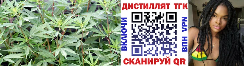 ссылка на мегу ссылки  Пушкино  Дистиллят ТГК вейп 