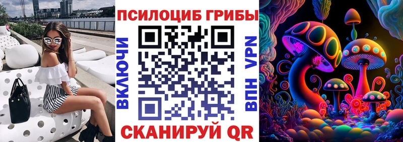 где купить наркоту  Пушкино  Псилоцибиновые грибы прущие грибы 
